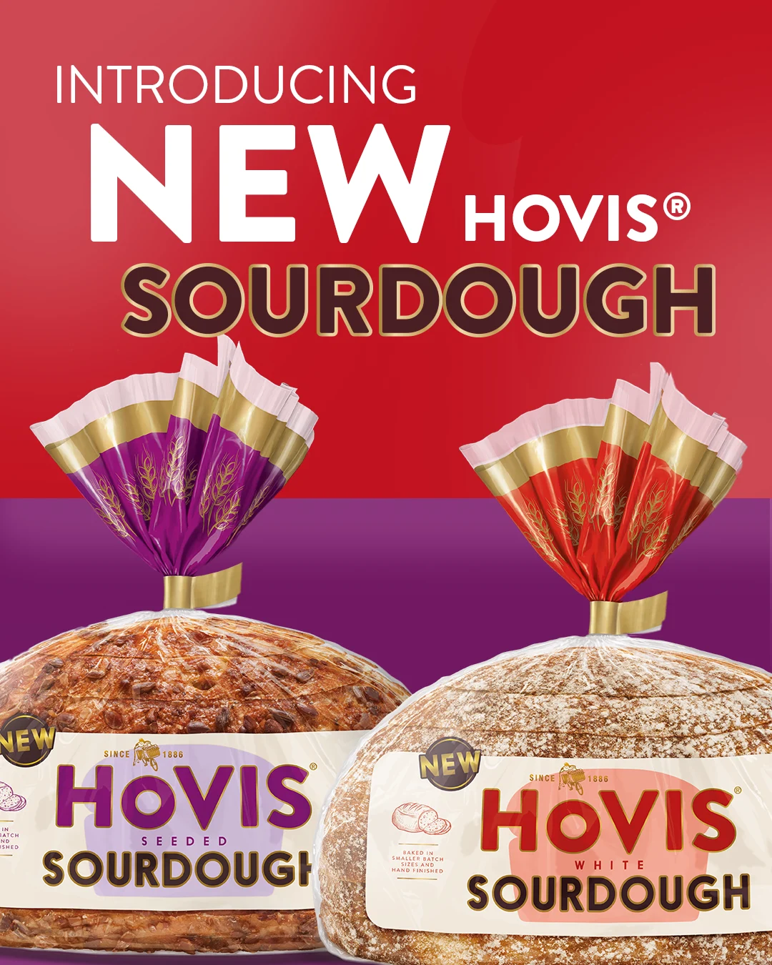 Introducing new hovis Sourdough