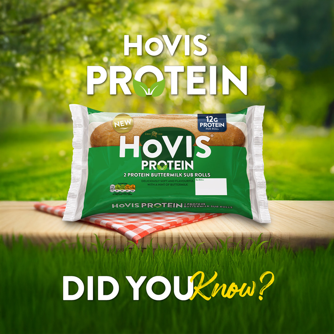 A vibrant outdoor shot featuring a pack of Hovis Protein Sub Rolls. The green and white plastic packaging for "Hovis Protein 2 Protein Buttermilk Sub Rolls" is prominently displayed on a red and white checkered cloth, which rests on a wooden surface. A "NEW" sticker and a blue label indicating "12g PROTEIN PER ROLL" are visible on the packaging. The background is a soft-focus green, suggesting leafy trees or foliage, with sunlight dappling through. Below the wooden surface, bright green grass fills the bottom quarter of the image. Large white text with a green leafy icon above it reads "HOVIS PROTEIN". At the very bottom, "DID YOU Know?" is written in large white and yellow text.
