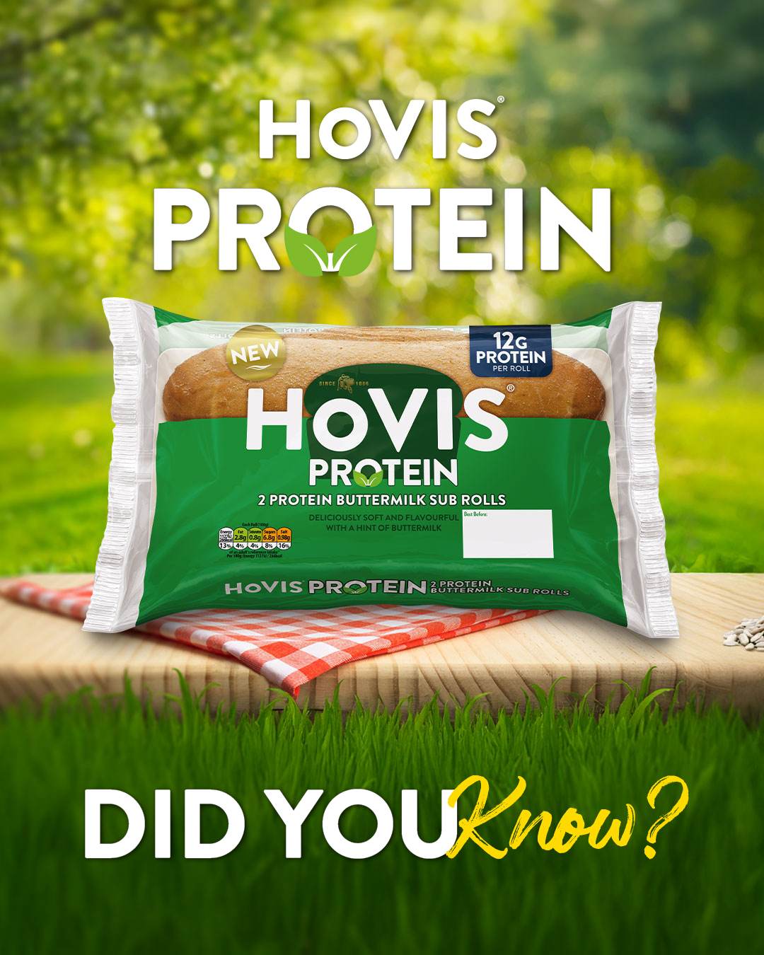 A vibrant outdoor shot featuring a pack of Hovis Protein Sub Rolls. The green and white plastic packaging for "Hovis Protein 2 Protein Buttermilk Sub Rolls" is prominently displayed on a red and white checkered cloth, which rests on a wooden surface. A "NEW" sticker and a blue label indicating "12g PROTEIN PER ROLL" are visible on the packaging. The background is a soft-focus green, suggesting leafy trees or foliage, with sunlight dappling through. Below the wooden surface, bright green grass fills the bottom quarter of the image. Large white text with a green leafy icon above it reads "HOVIS PROTEIN". At the very bottom, "DID YOU Know?" is written in large white and yellow text.